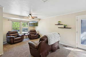 Carpeted living area with ceiling fan, crown molding, and a textured ceiling