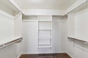 Spacious closet with carpet flooring