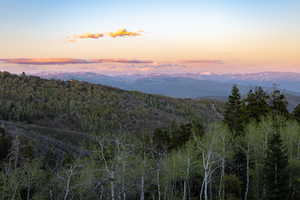 View of mountain background with a heavily wooded area