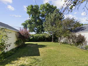 View of grassy yard