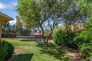 Fenced backyard with a trampoline