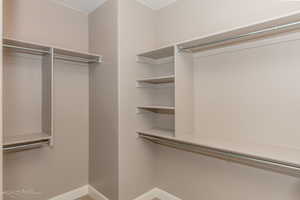 View of walk in closet
