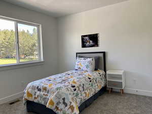 Carpeted bedroom with great natural light