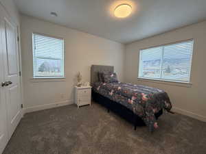 Bedroom with multiple windows and dark carpet