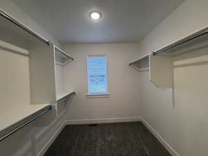 Premier bedroom's walk in closet with dark colored carpet