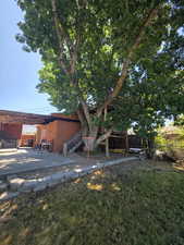 View of yard featuring a patio