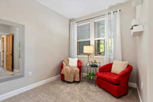 Living area featuring baseboards and carpet floors