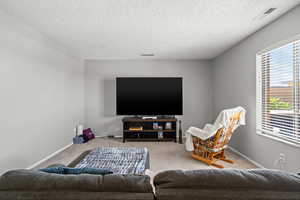 Living room featuring carpet floors and a textured ceiling