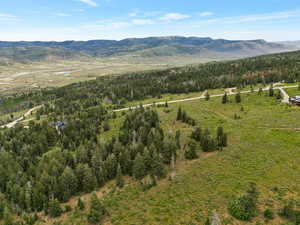 View of mountain background with a forest