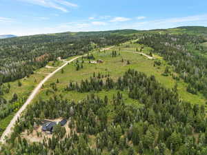 Aerial overview of property's location with a heavily wooded area and a mountainous background