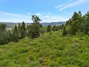View of mountain backdrop with a heavily wooded area