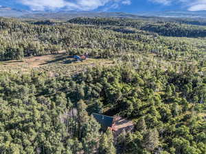 Aerial overview of property's location with a forest and mountains