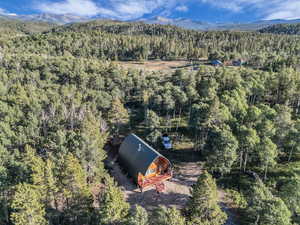 Bird's eye view of a forest and a mountain backdrop