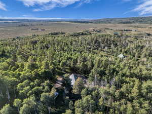Aerial view of property's location featuring a heavily wooded area