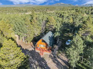 View from above of property featuring a heavily wooded area and a mountain backdrop