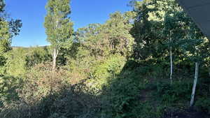 View of tree filled area