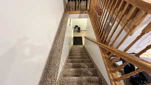 View of staircase looking down to the basement