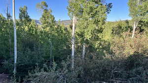View of woods featuring a mountain view