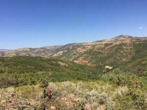 View of mountain background