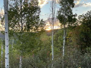 View of nature at dusk