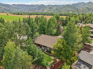 Drone / aerial view of a mountain backdrop
