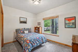Bedroom featuring carpet
