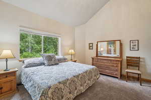 Bedroom featuring carpet and high vaulted ceiling