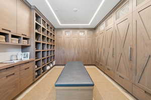 Spacious closet with a raised ceiling