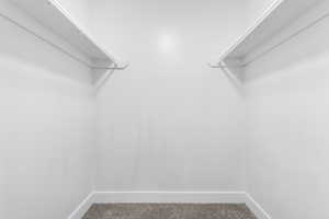 Walk in closet featuring carpet floors