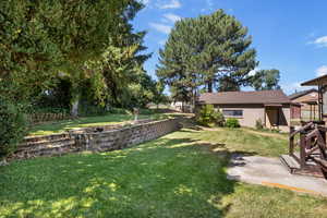 View of grassy yard