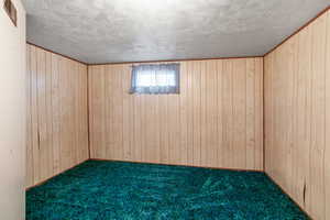 Basement with wooden walls, a textured ceiling, and carpet