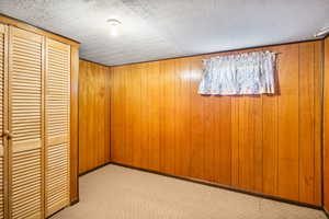 Finished basement with carpet and wooden walls
