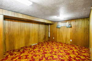 Below grade area featuring a textured ceiling, wooden walls, and carpet