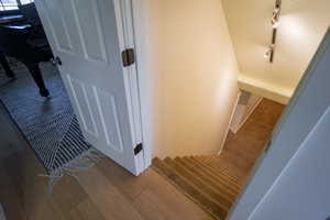 Stairs with wood finished floors and rail lighting