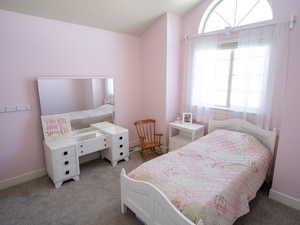 Carpeted bedroom featuring a textured ceiling and lofted ceiling