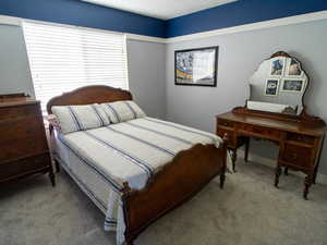 Carpeted bedroom featuring multiple windows