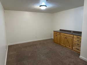 Spare room featuring dark colored carpet and a textured ceiling