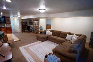 Living room featuring light colored carpet and a textured ceiling