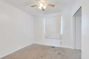 Spare room featuring ornamental molding, a ceiling fan, and carpet floors