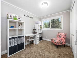 Bedroom/Office area featuring carpet flooring and ornamental molding