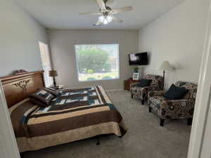 Bedroom featuring carpet, multiple windows, and a ceiling fan