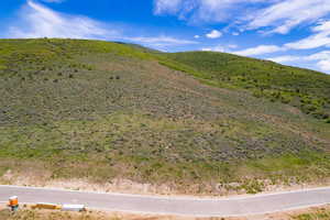 View of mountain background