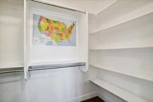 View of walk in closet