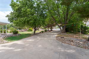 Driveway & Mature Trees