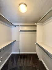 Spacious closet featuring dark carpet