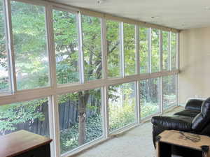 Sunroom / solarium with carpet