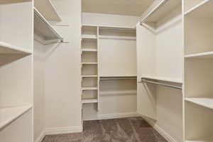Walk in closet featuring dark colored carpet