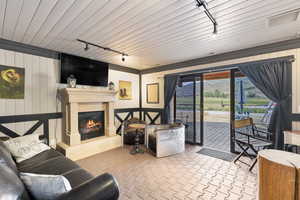 Living room featuring rail lighting, a glass covered fireplace, and wood walls
