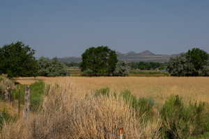 View of mountain background with rural landscape