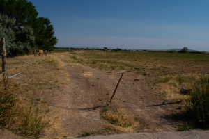 View of local wilderness with rural landscape